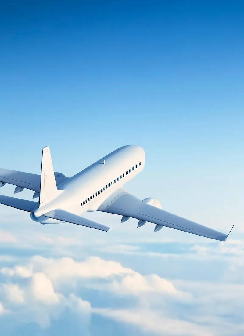 Flight Bookings
