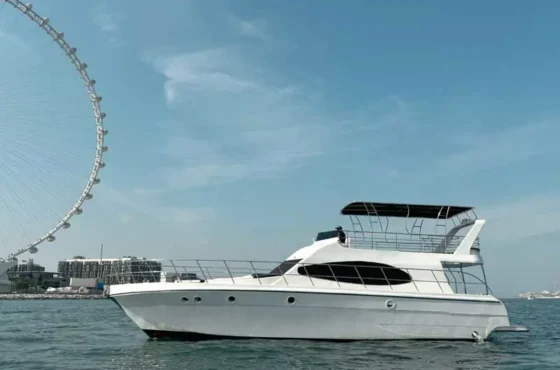 3 Hour Sunset Sightseeing Cruise