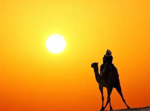 Authentic Dubai Camel Trek at Dawn | Intimate Desert Sunrise Experience