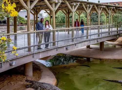 Crocodile Park Dubai