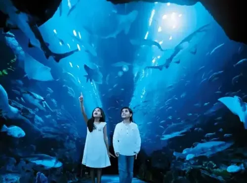 Dubai Aquarium & Underwater Zoo