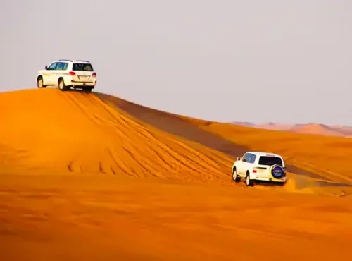 Platinum 4×4 Desert Safari