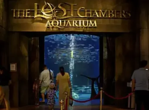 The Lost Chambers Aquarium