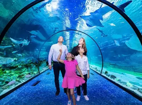 The National Aquarium Abu Dhabi