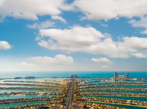 The View At The Palm