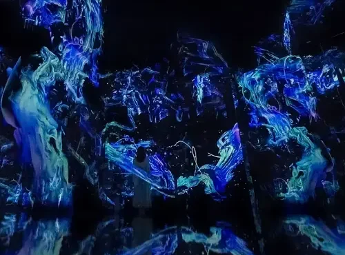 teamLab Phenomena Abu Dhabi